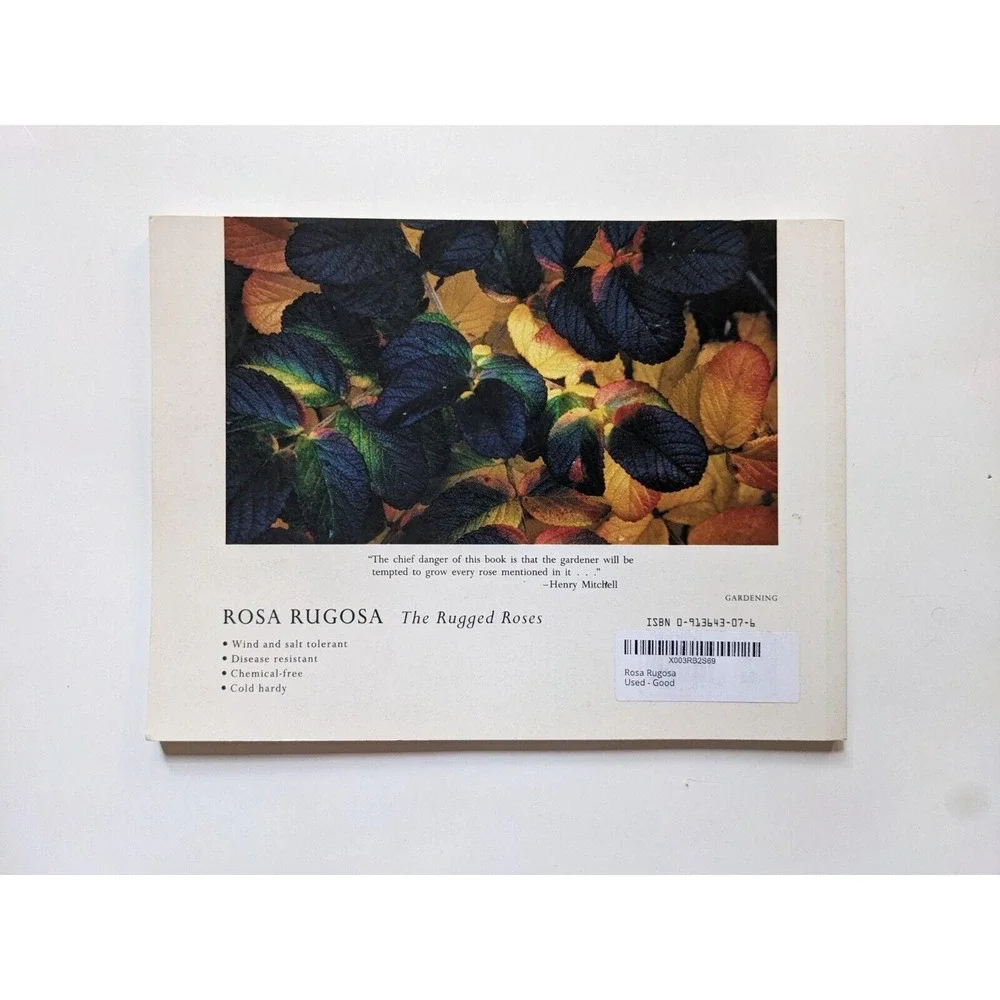 N/A rosa rugosa