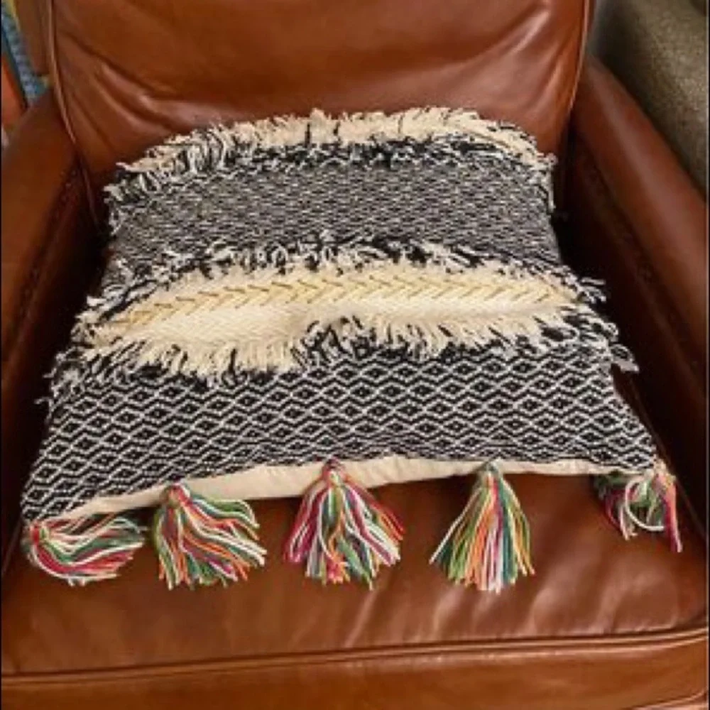 Anthropologie pillow cover