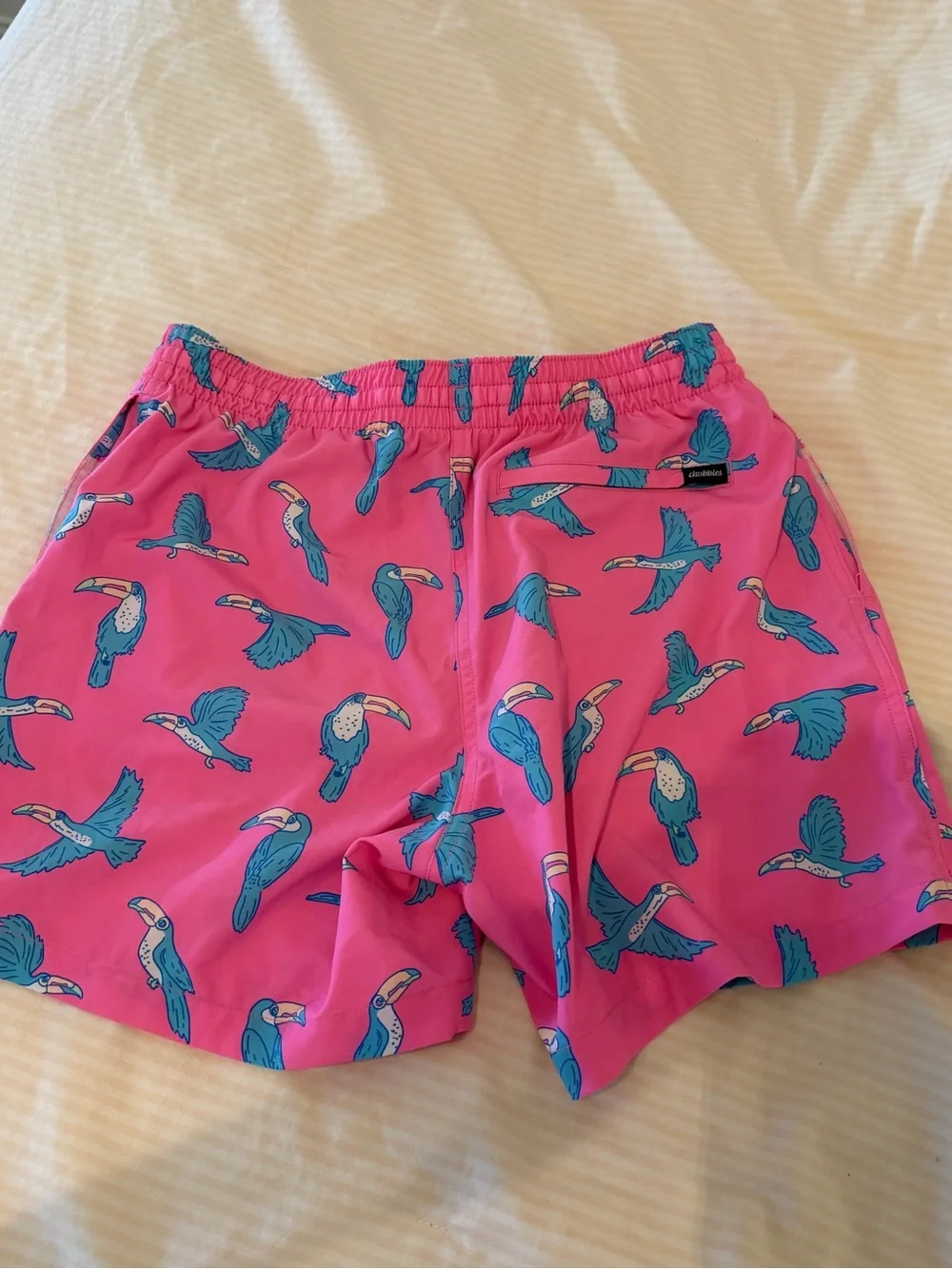 chubbies bright hot
