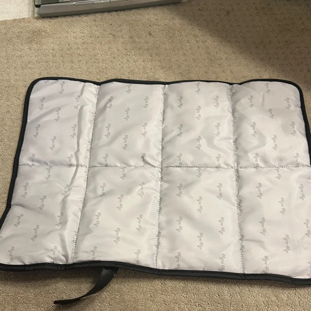 Itzy Ritzy excellent used