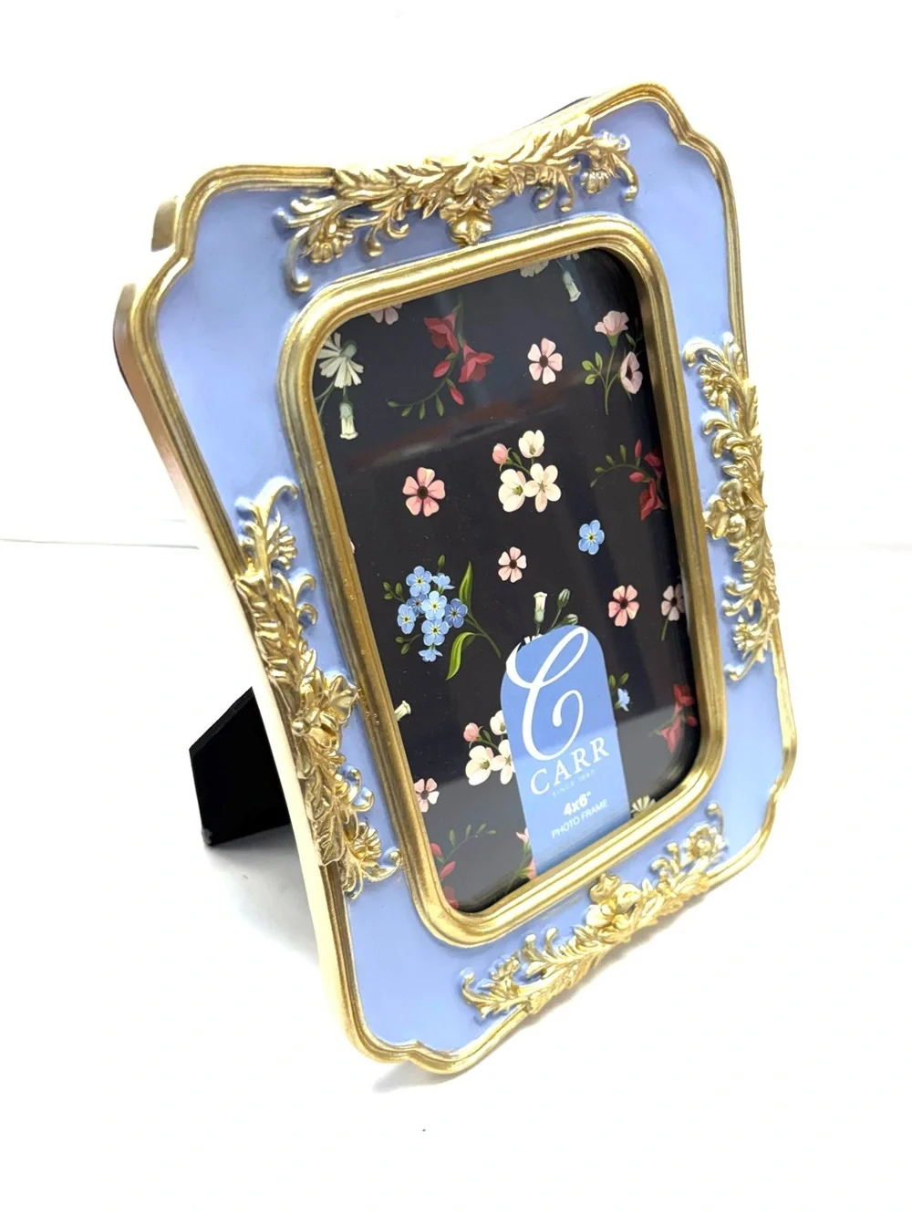 Carr picture frame