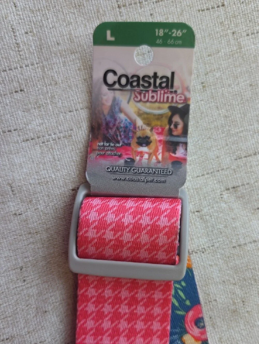 Coastal collar bright