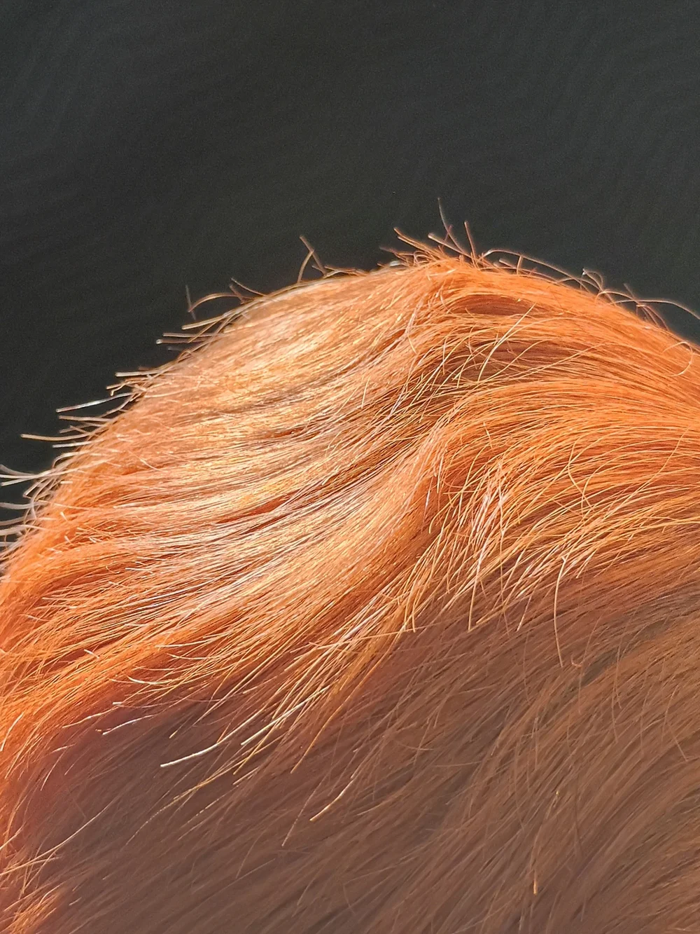 None short layered