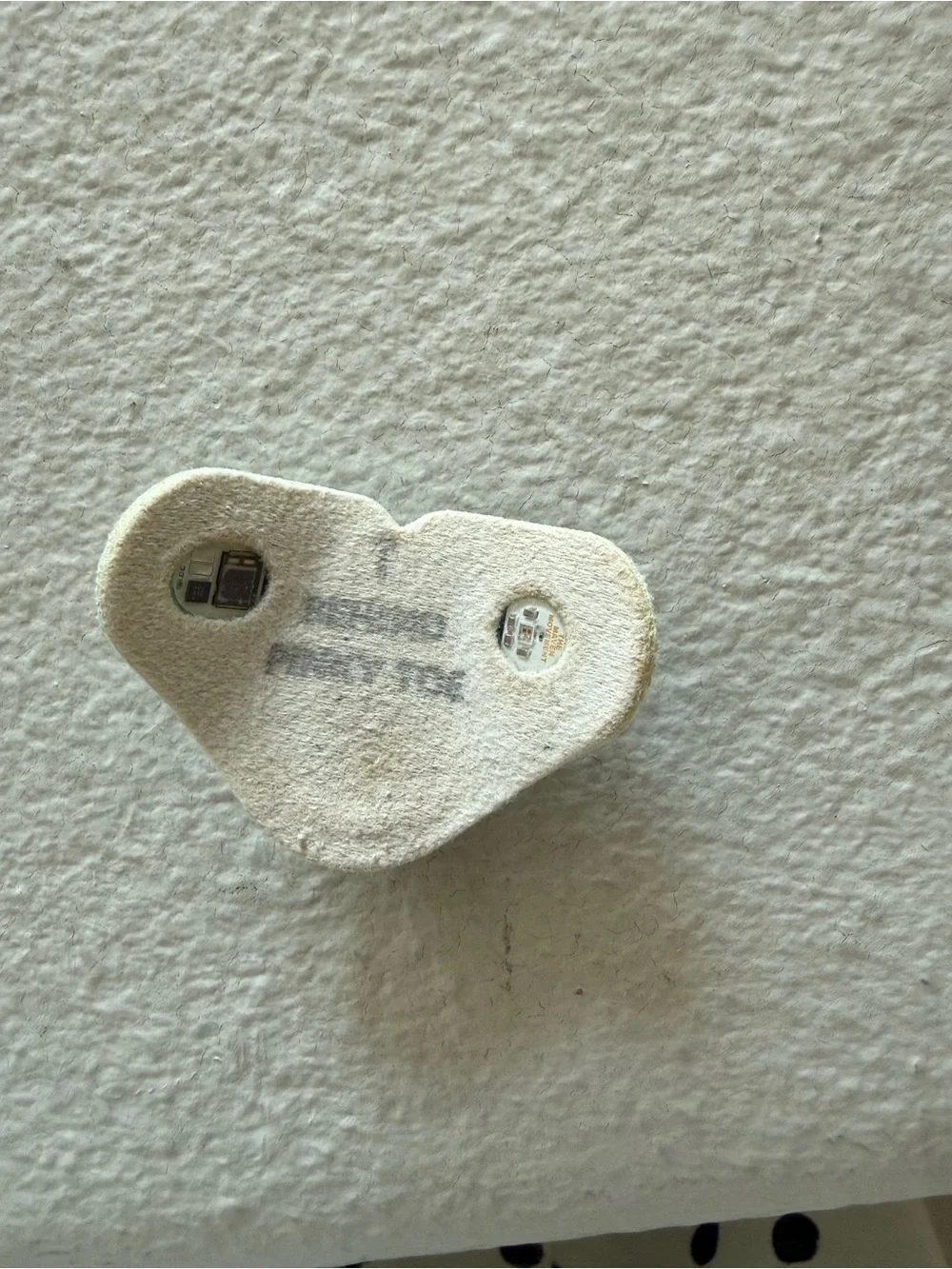 Owlet dream sock