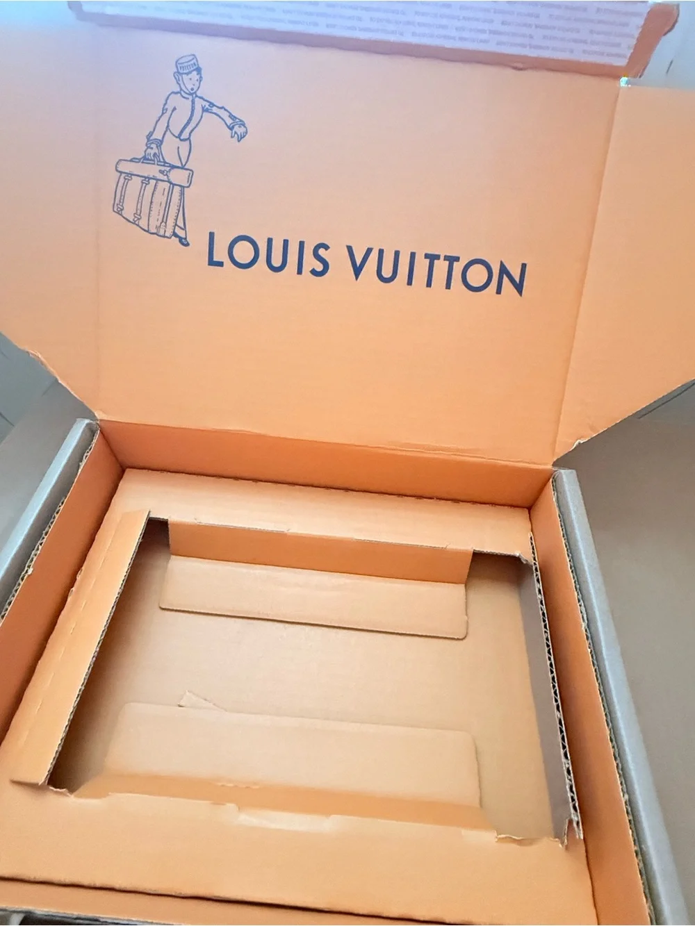 Louis Vuitton authentic brand