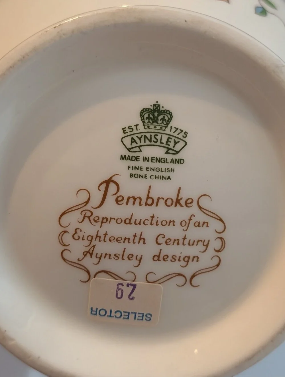 Aynsley beautiful vibrantly