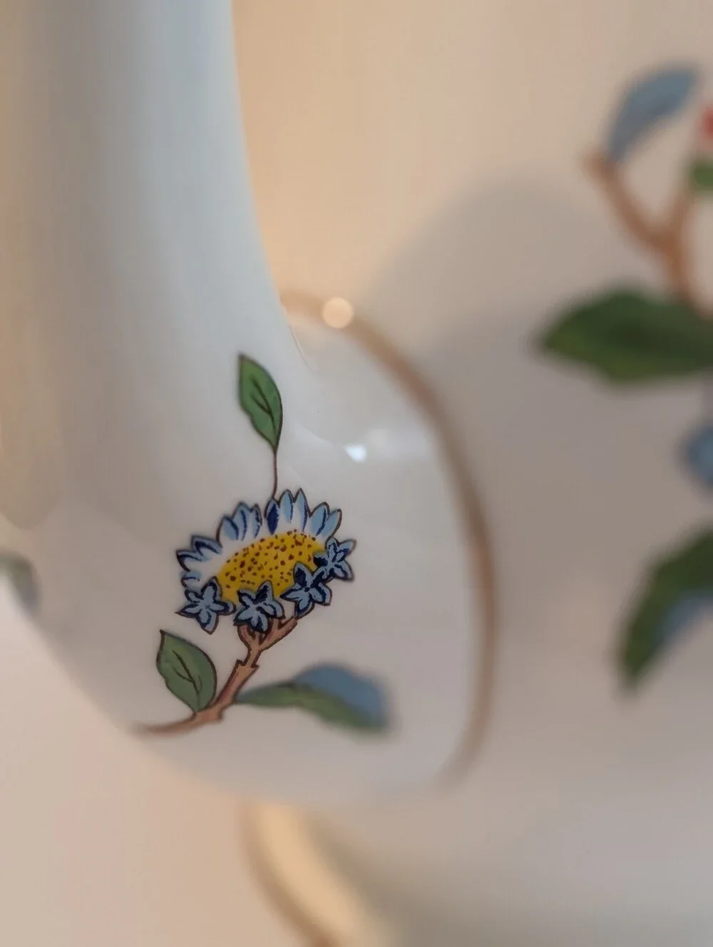 Aynsley beautiful vibrantly