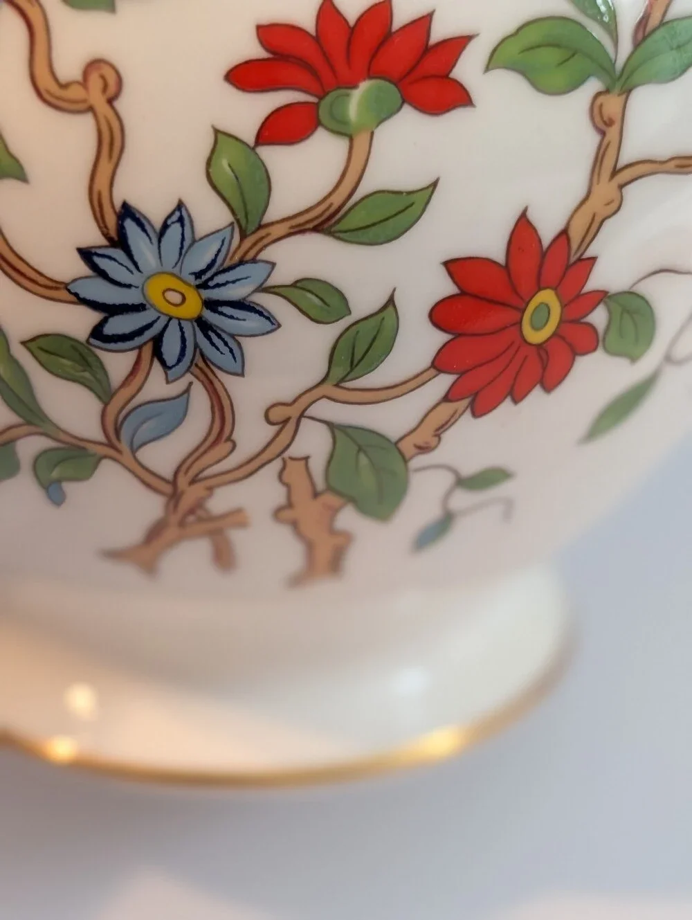 Aynsley beautiful vibrantly