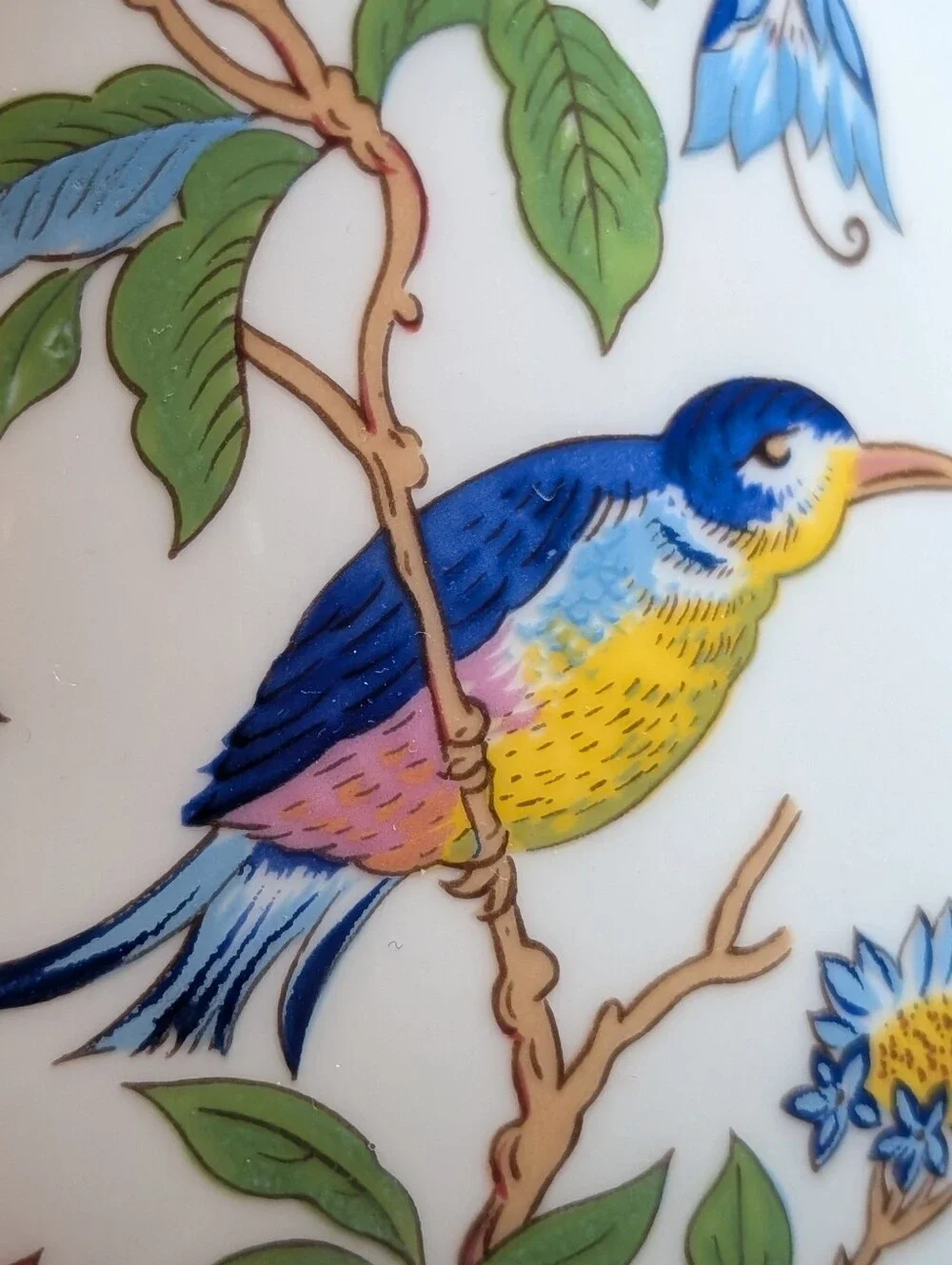 Aynsley beautiful vibrantly