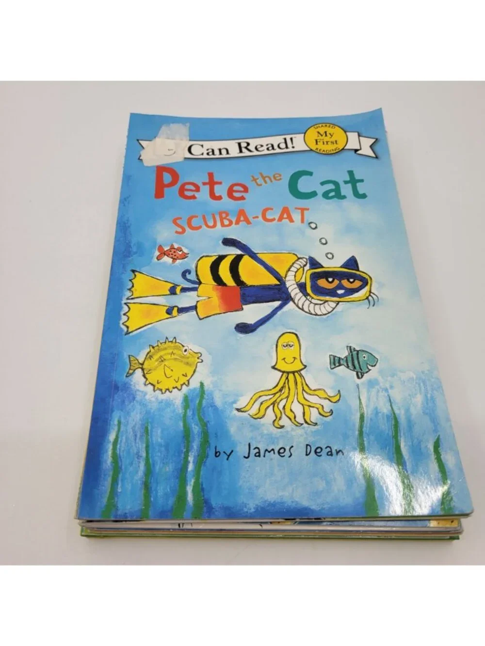 Scholastic pete cat