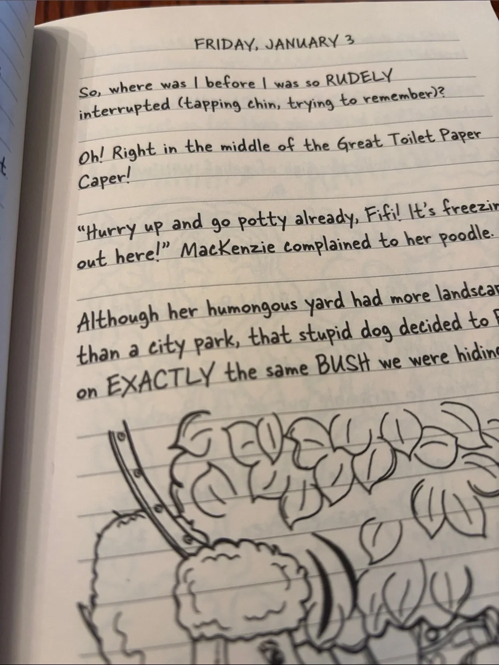 N/A dork diaries
