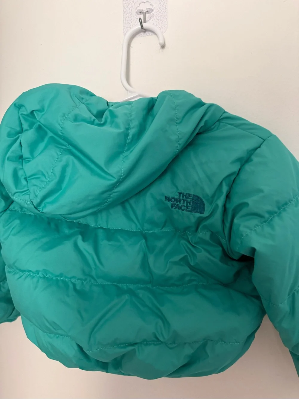 The North Face Teal/Turquoise Kids Puffer reversible hooded and mittens