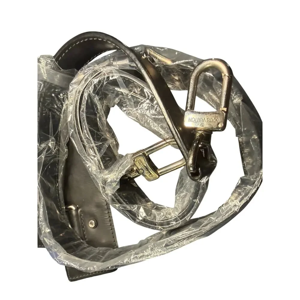 Louis Vuitton authentic louis