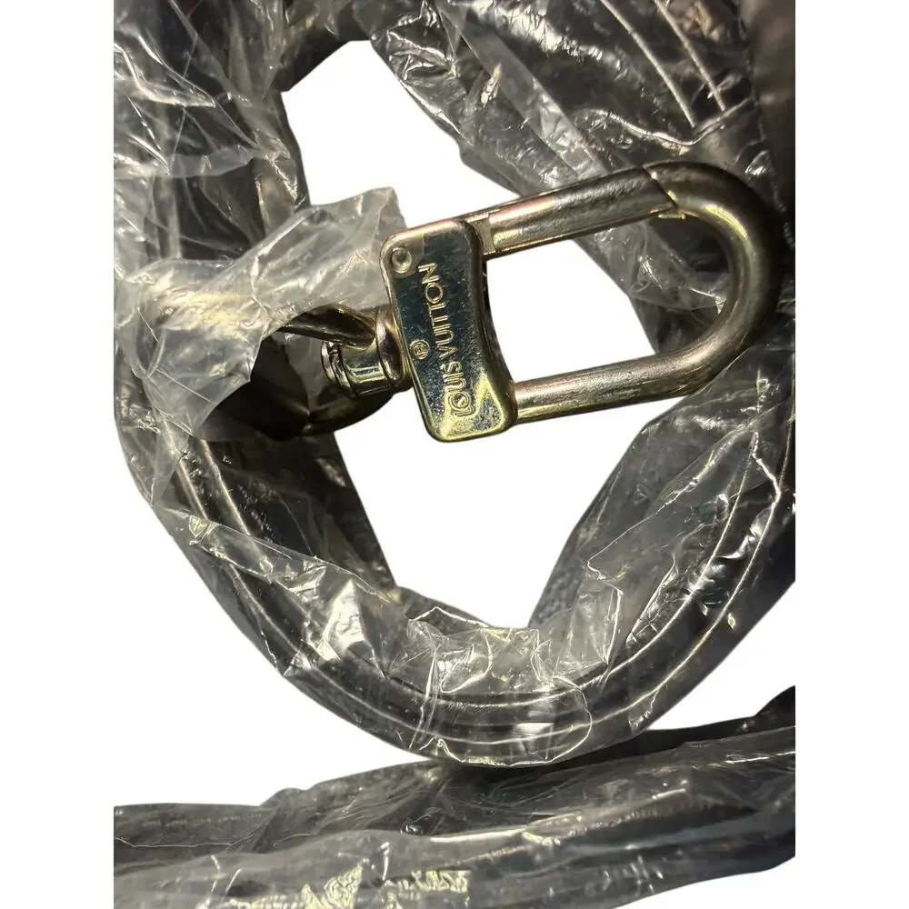 Louis Vuitton authentic louis