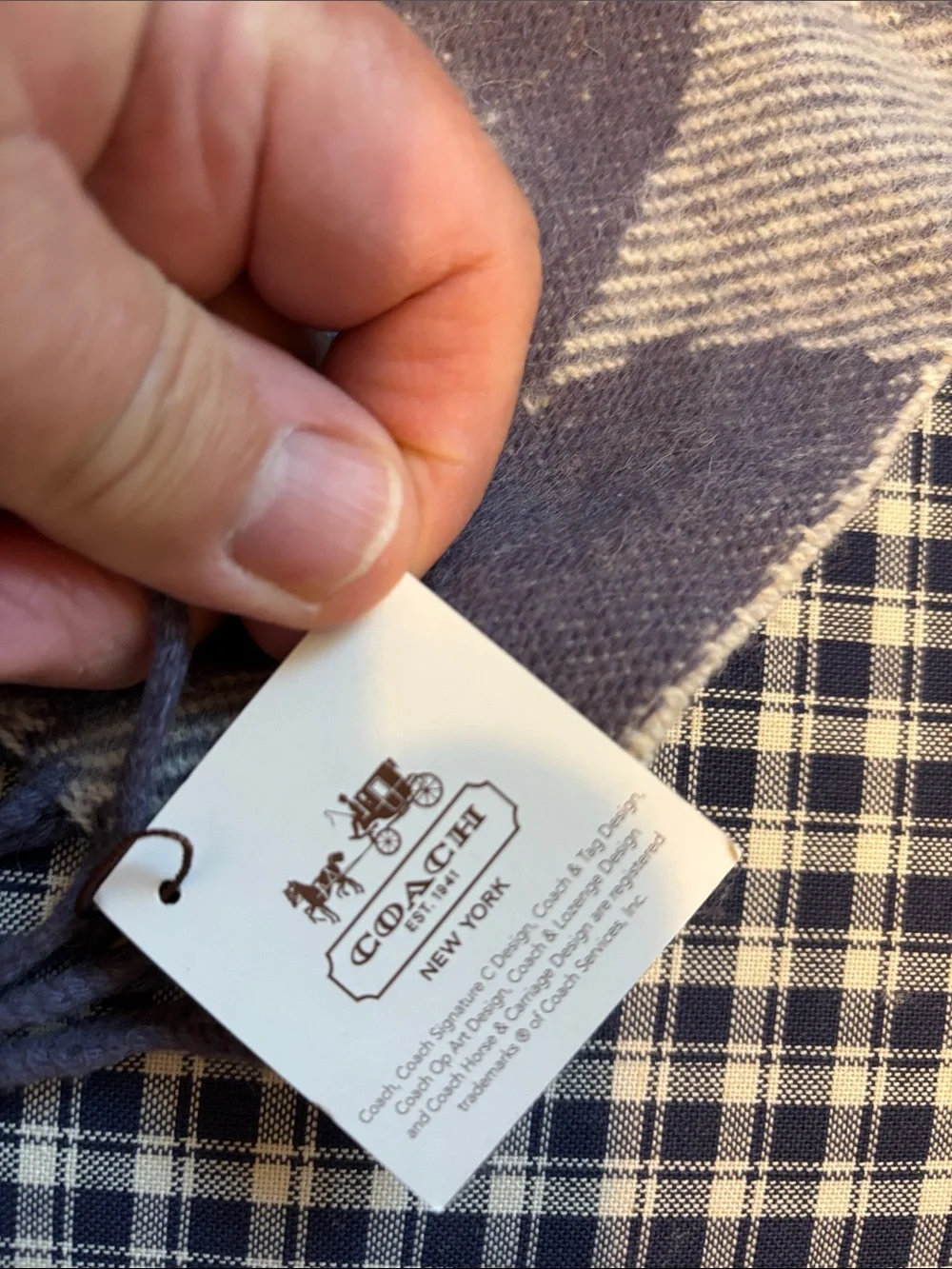 Coach classic scarf