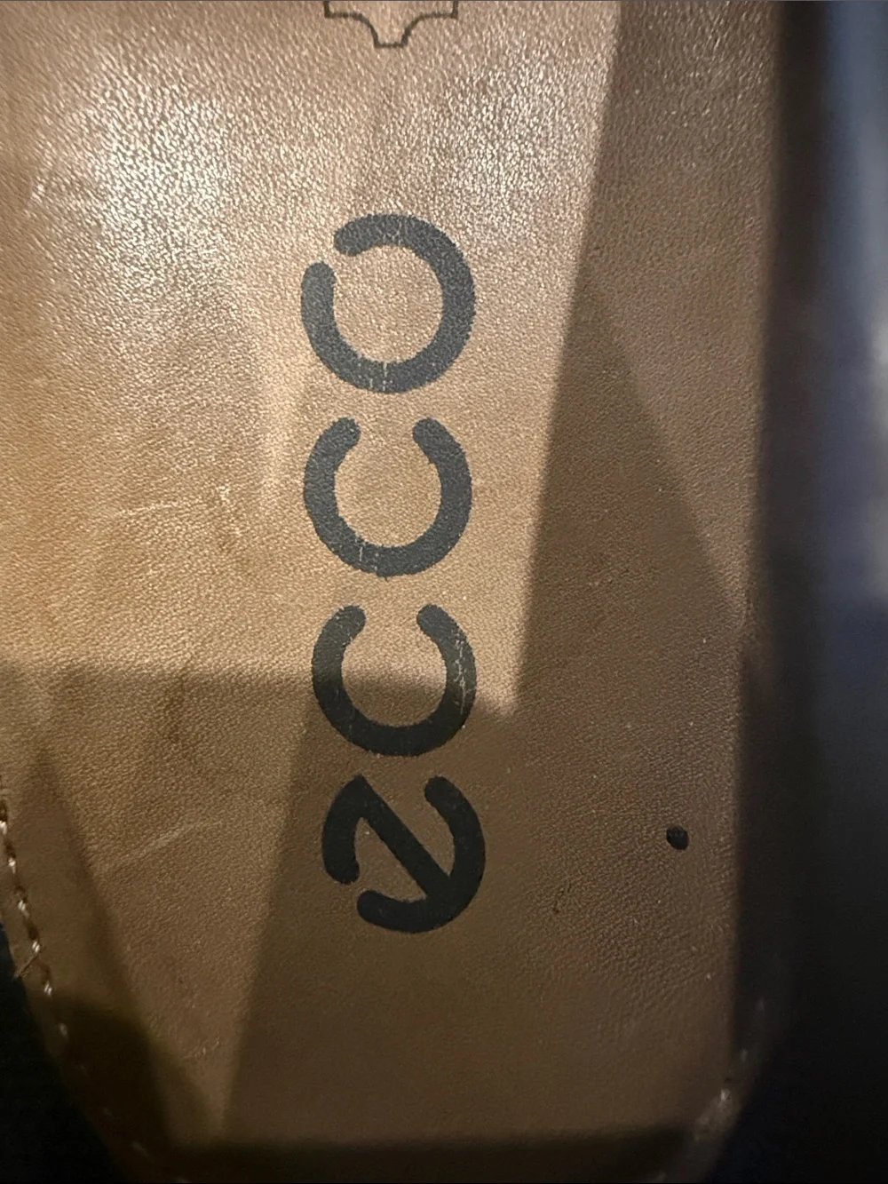 Ecco brand they