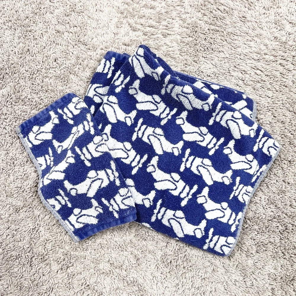 Pottery Barn Kids Airplane Print Bath Towel &‎ Washcloth Lot