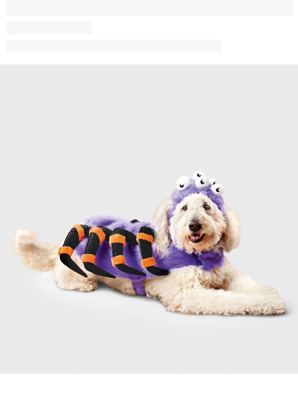 Boots & Barkley boots barkley