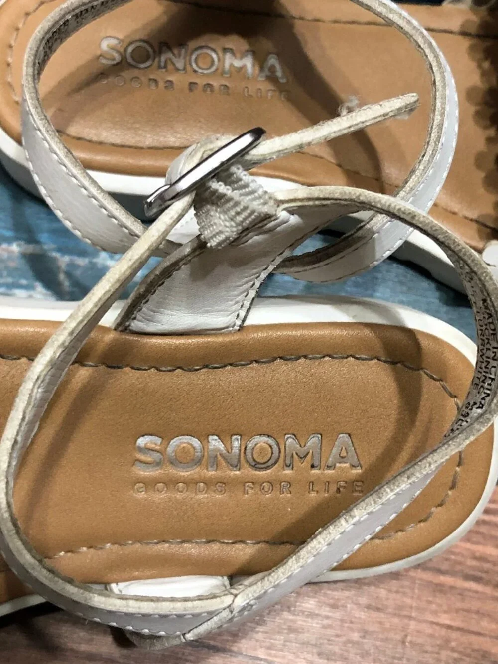 Sonoma 😸please pay