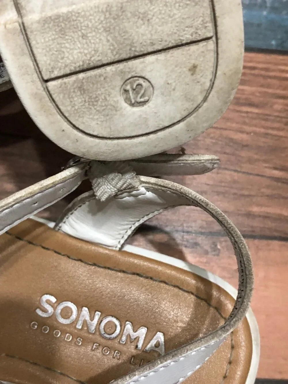 Sonoma 😸please pay