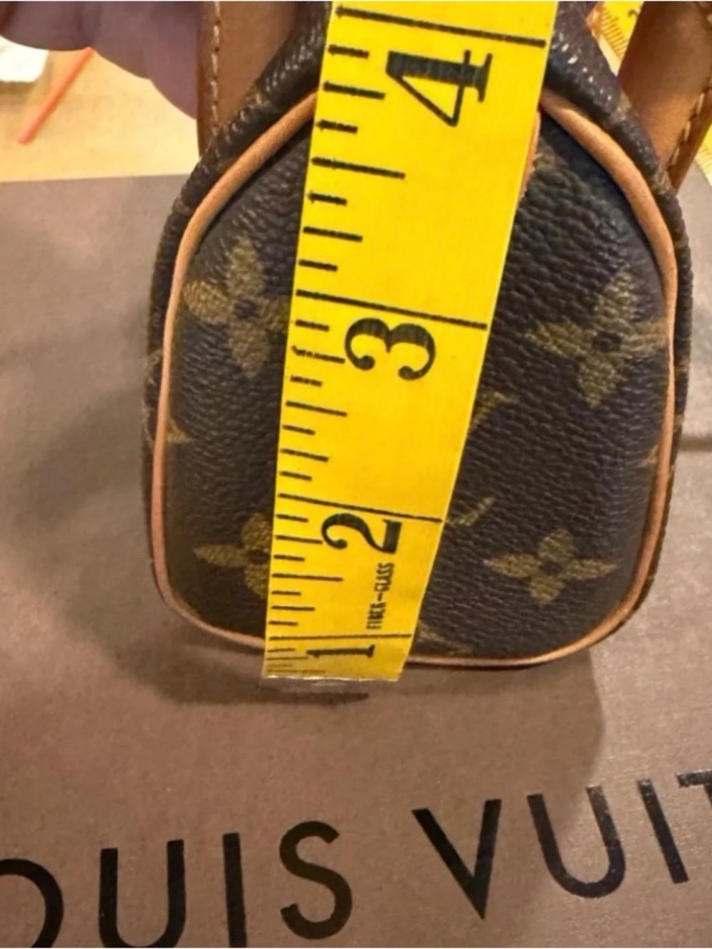 Louis Vuitton iconic louis