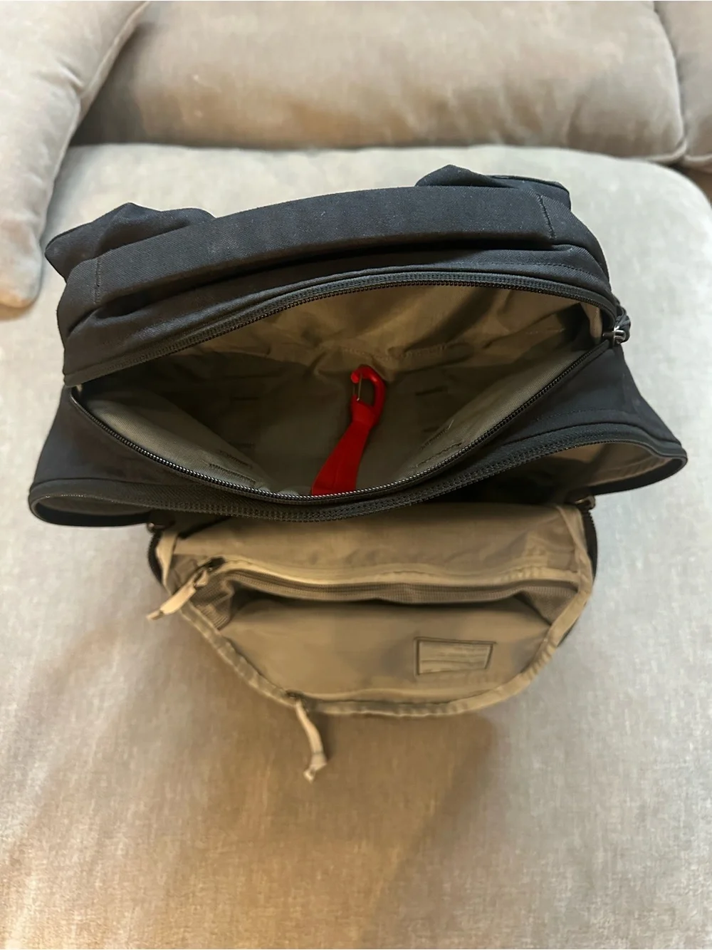 Evergoods chz26 v2