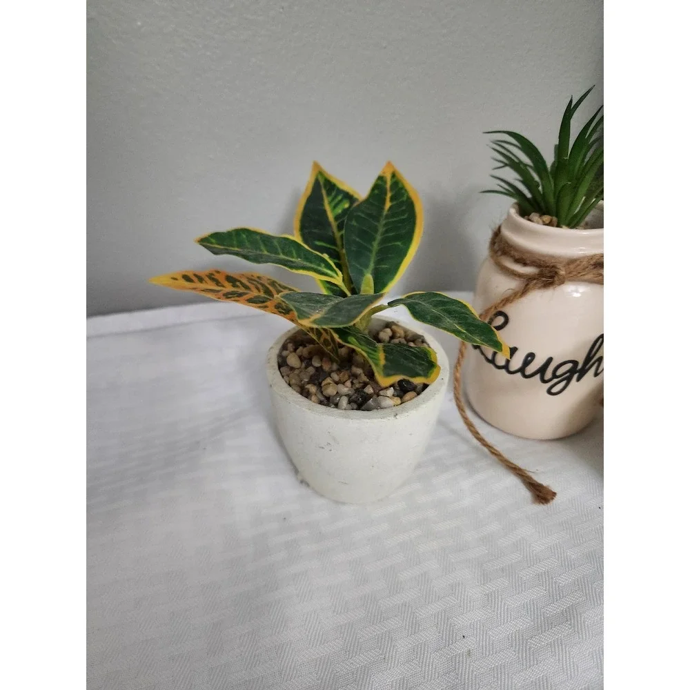 Unbranded set three