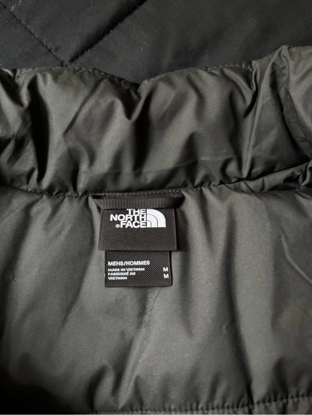 The North Face north face