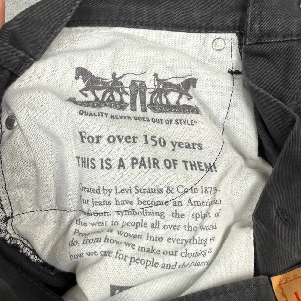 Levis pocket versatile 10