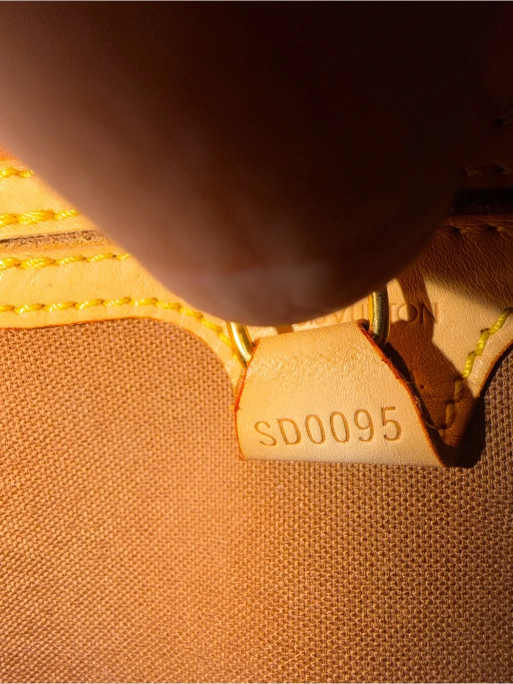 Louis Vuitton iconic monogram