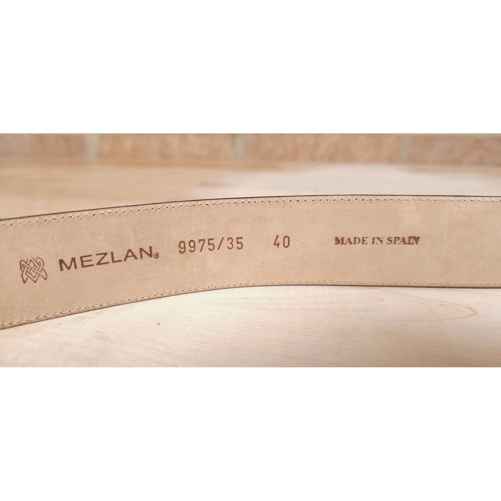 Mezlan sueded snake
