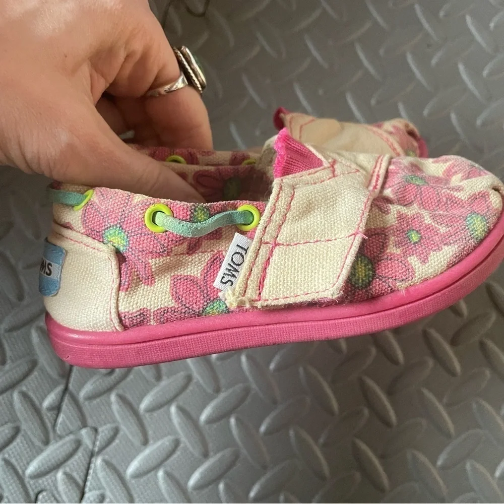 Toms pink daisy