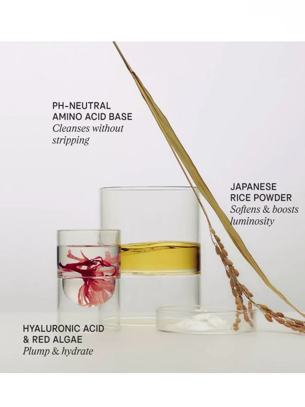Tatcha normal ingredients