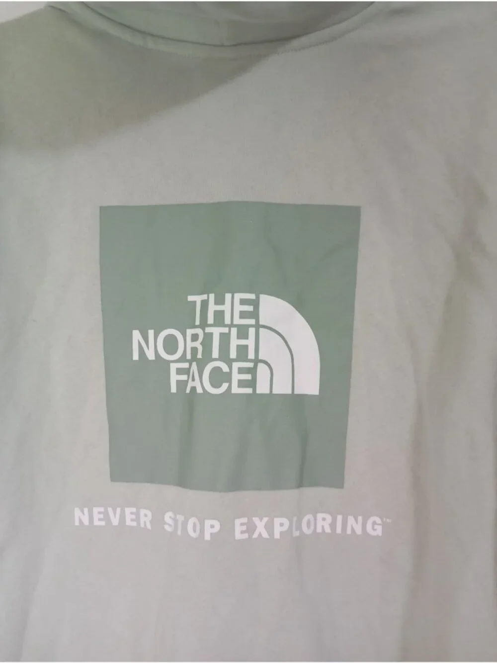 The North Face used good