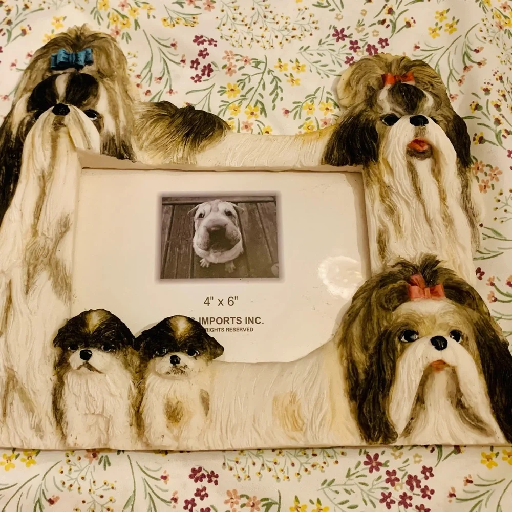 E & S Imports imports shih