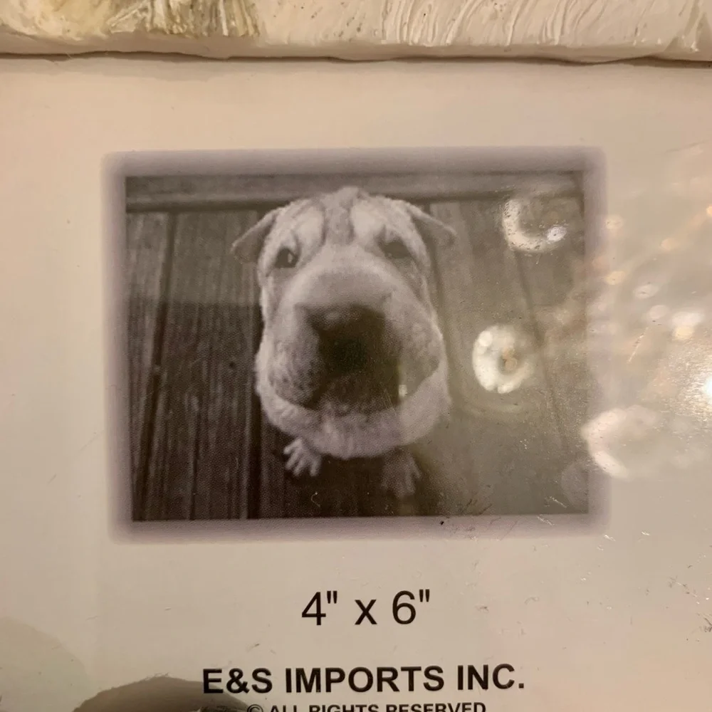 E & S Imports imports shih