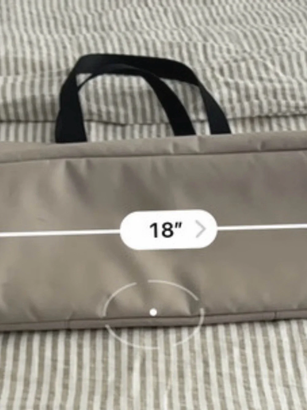 Everlane from website
