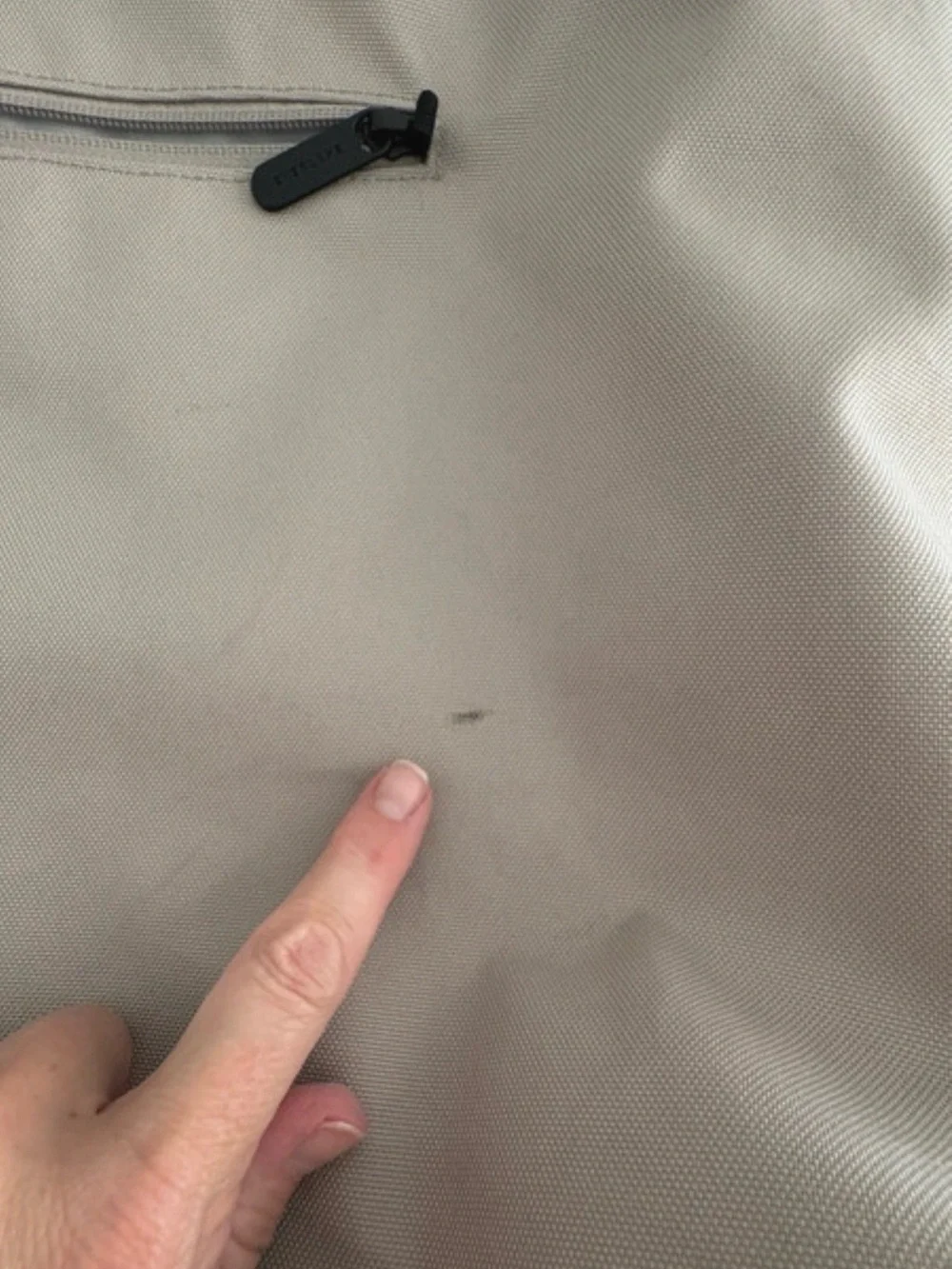 Everlane from website