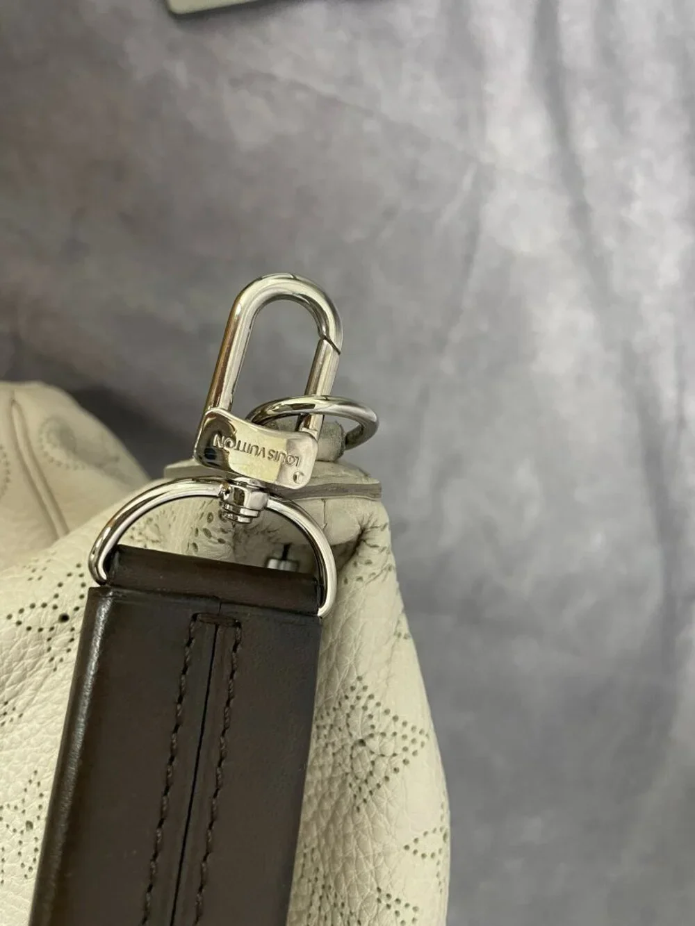 Louis Vuitton authentic louis