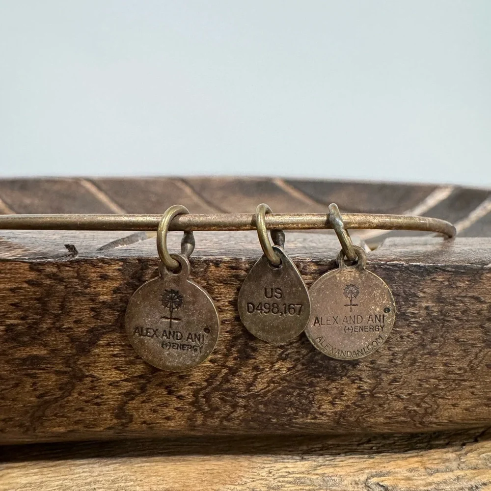 Alex and Ani details love