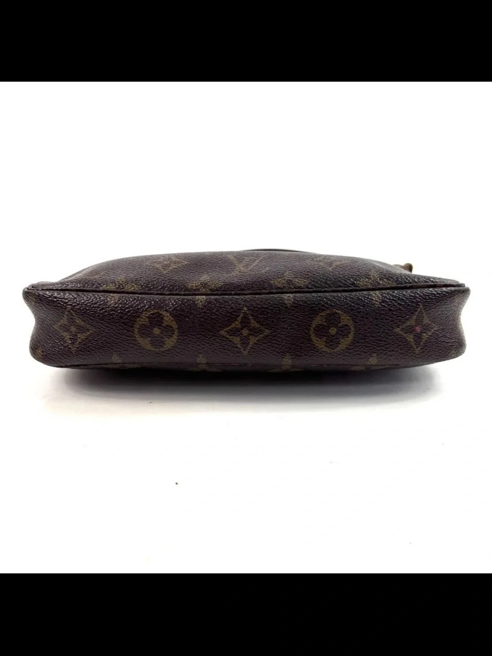 Louis Vuitton authentic louis