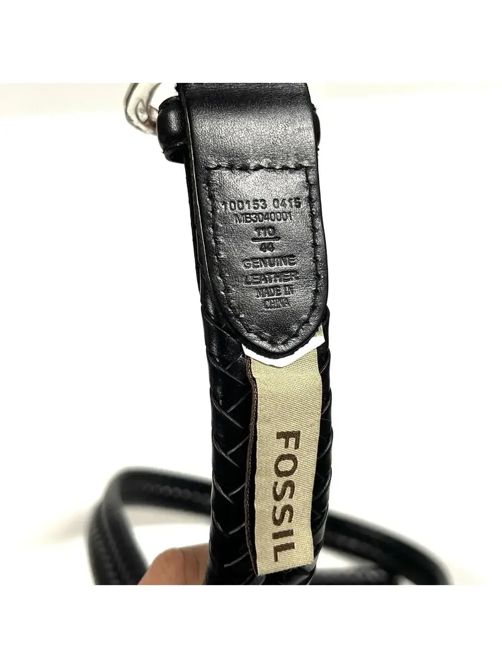 Fossil buckle has