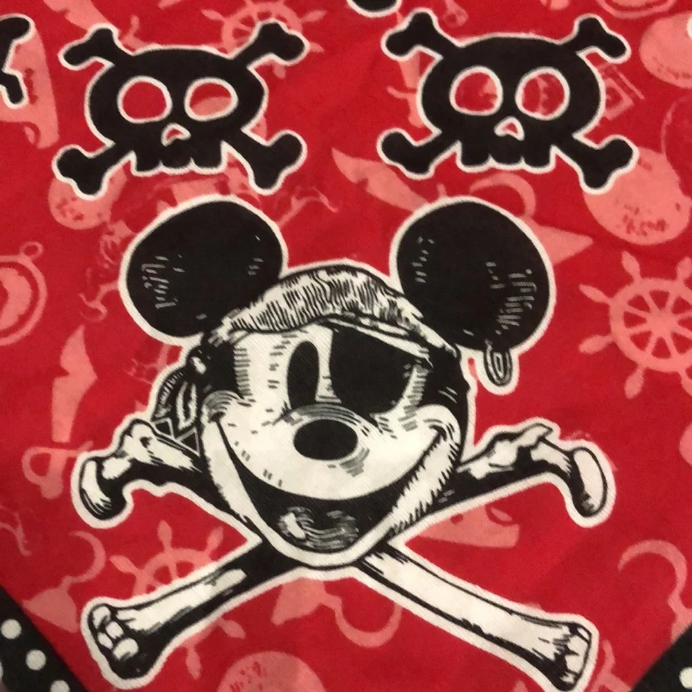 Disney stylish red