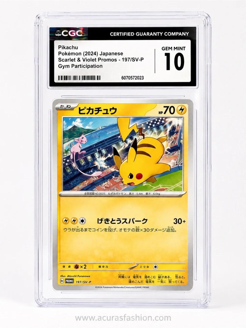 2024 Pokemon Japanese Gym Participation Promo Pikachu 197/SV-P CGC 10 Gem Mint