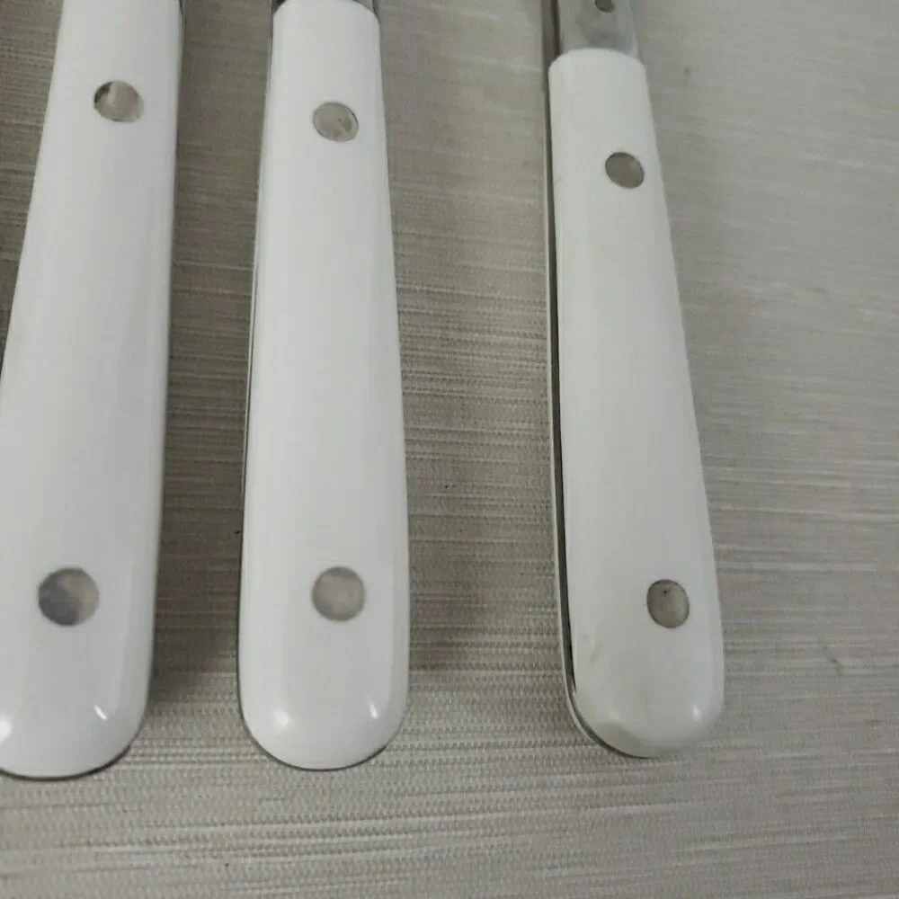 Dolly Parton lifetime stainless