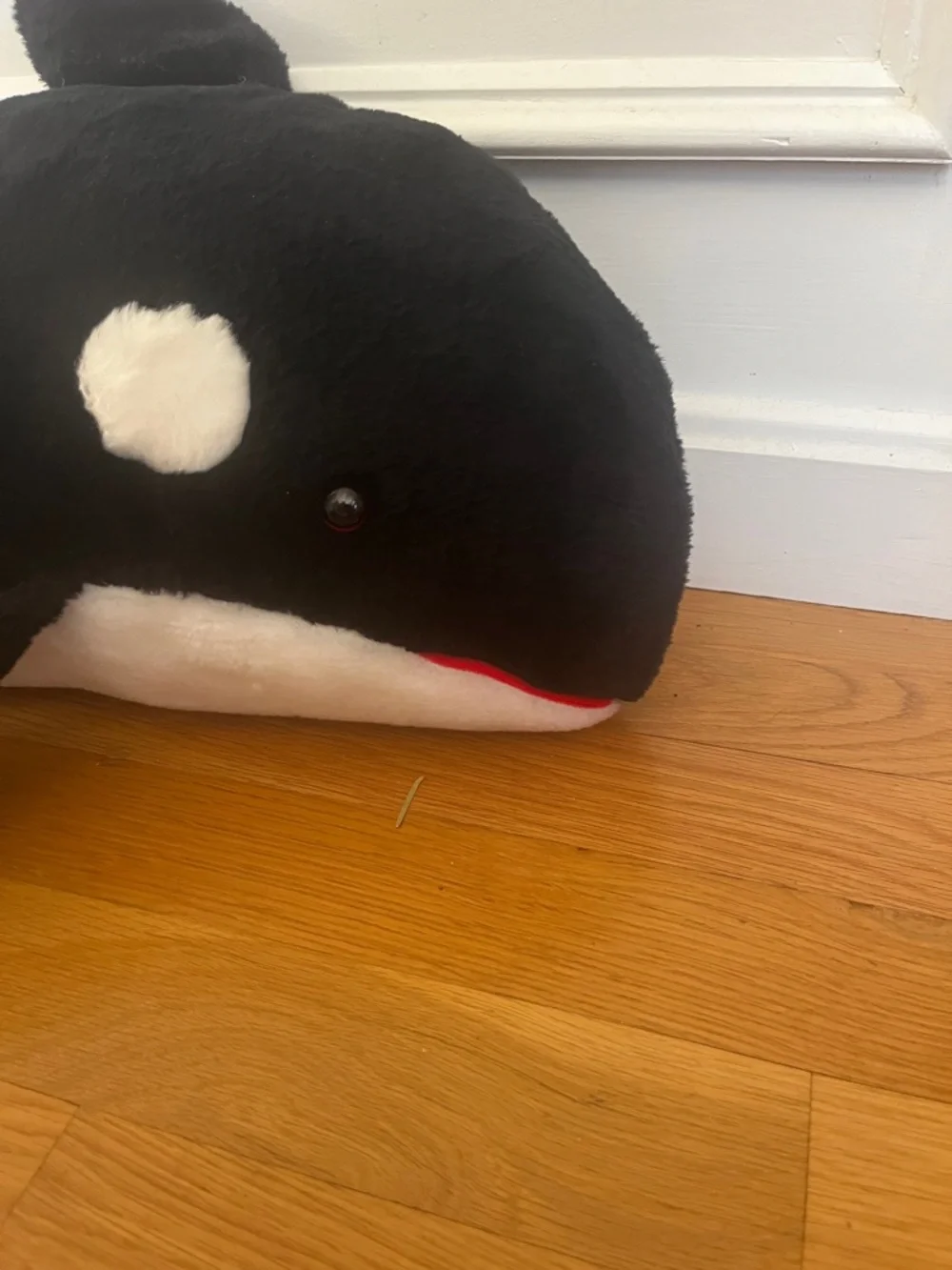 Seaworld cuddly black