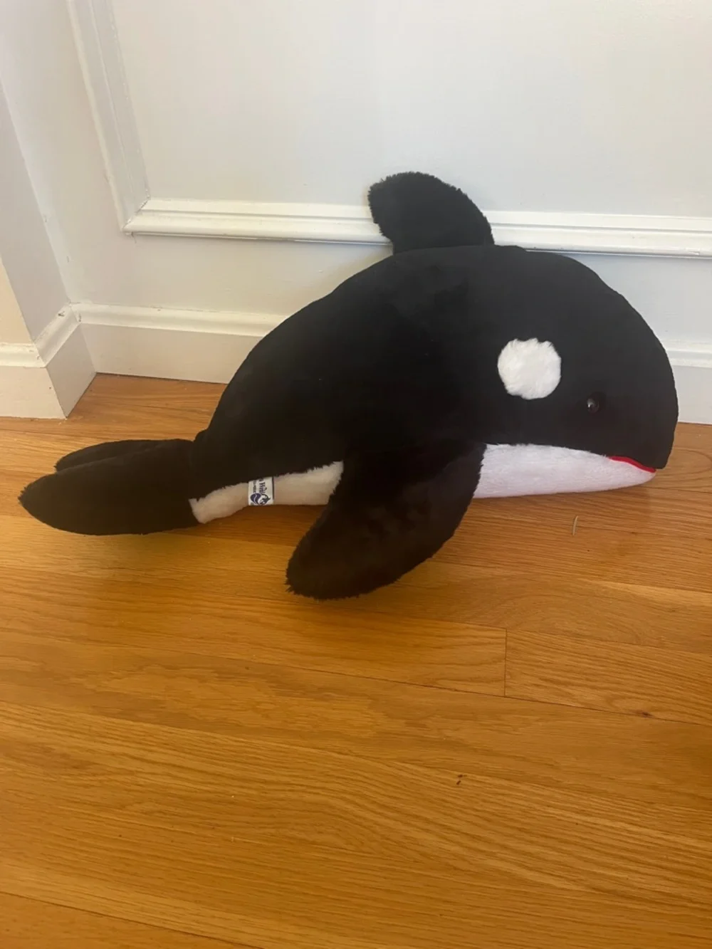 Seaworld cuddly black
