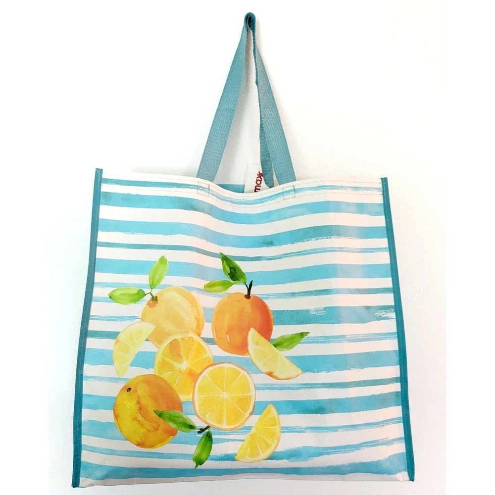 Shopping Gift Bag Fruit Citrus Oranges Lemons Blue Stripes Reusable Tote TJMaxx
