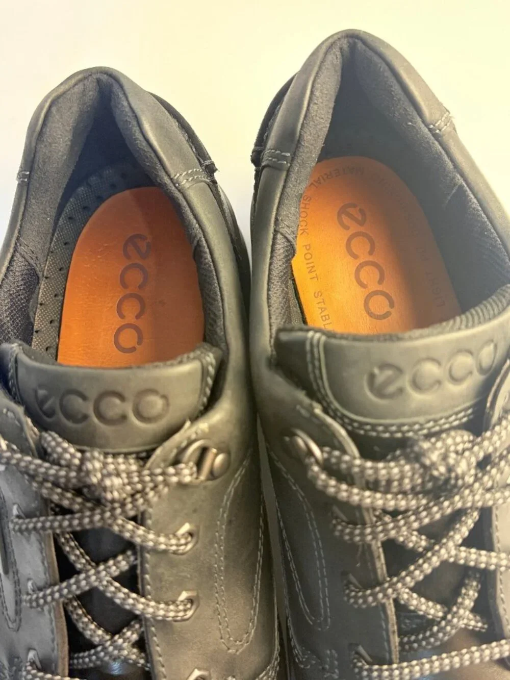 Ecco beautiful pair