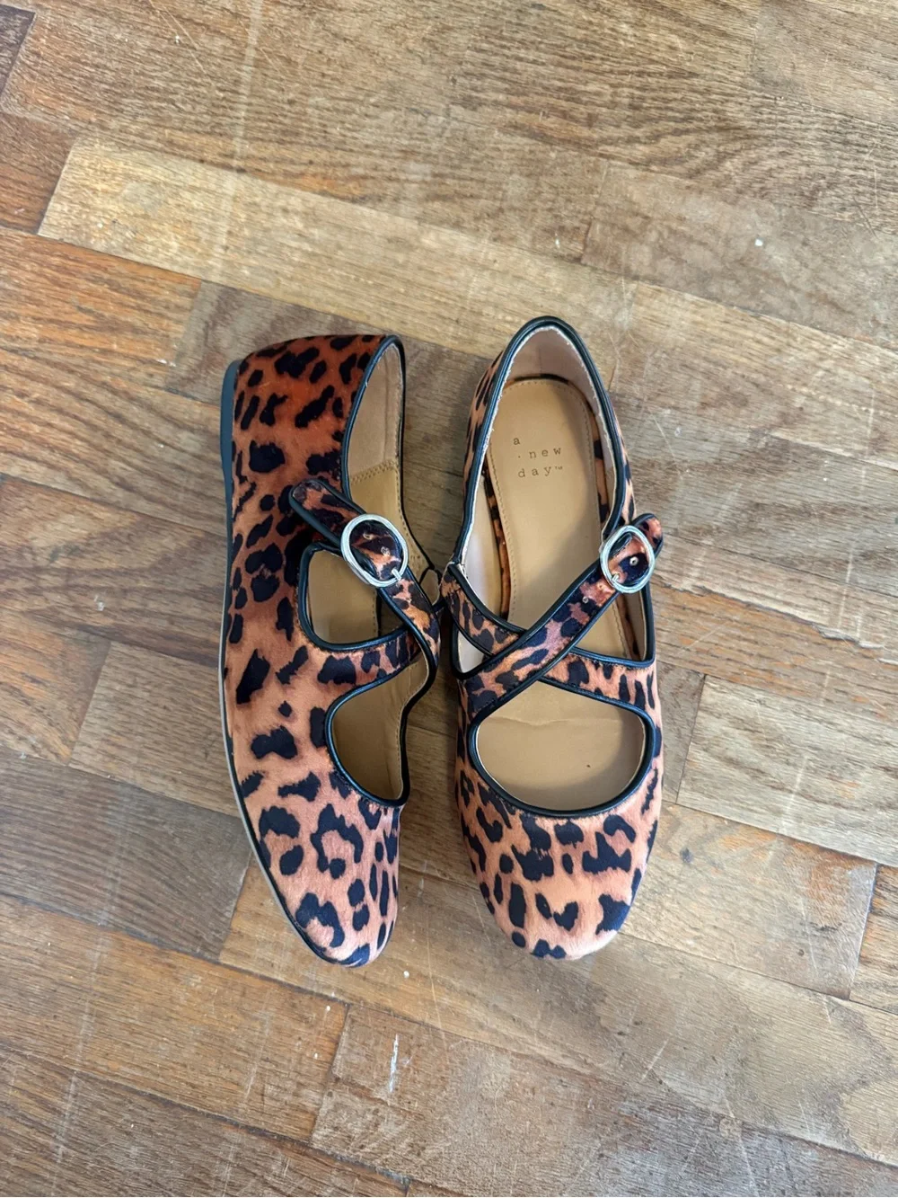 a new day leopard print